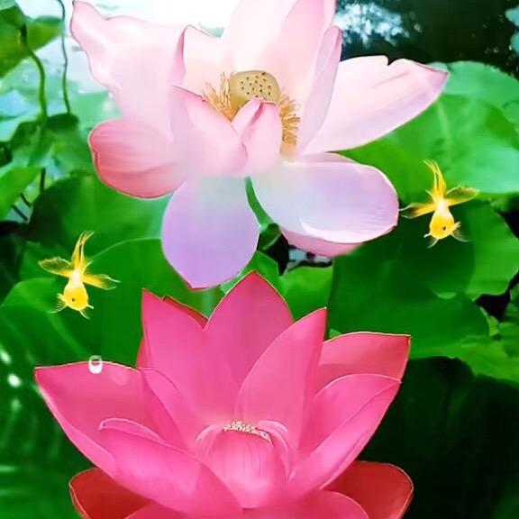 吉祥.如意