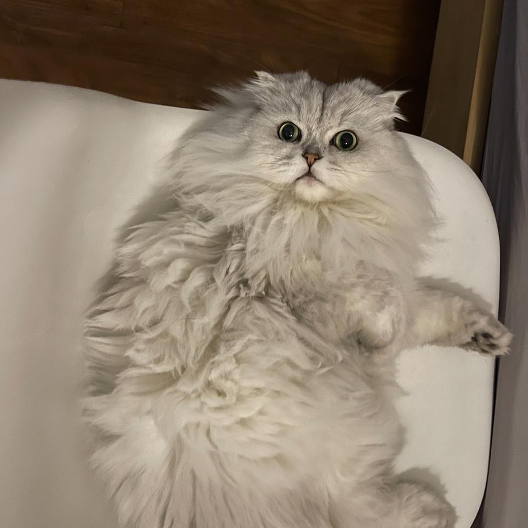 阿涛