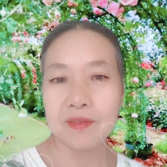金姐姐