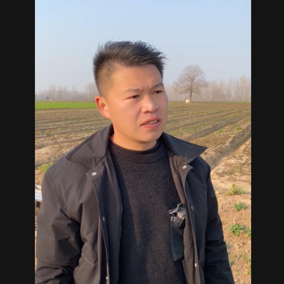 金鹤生活