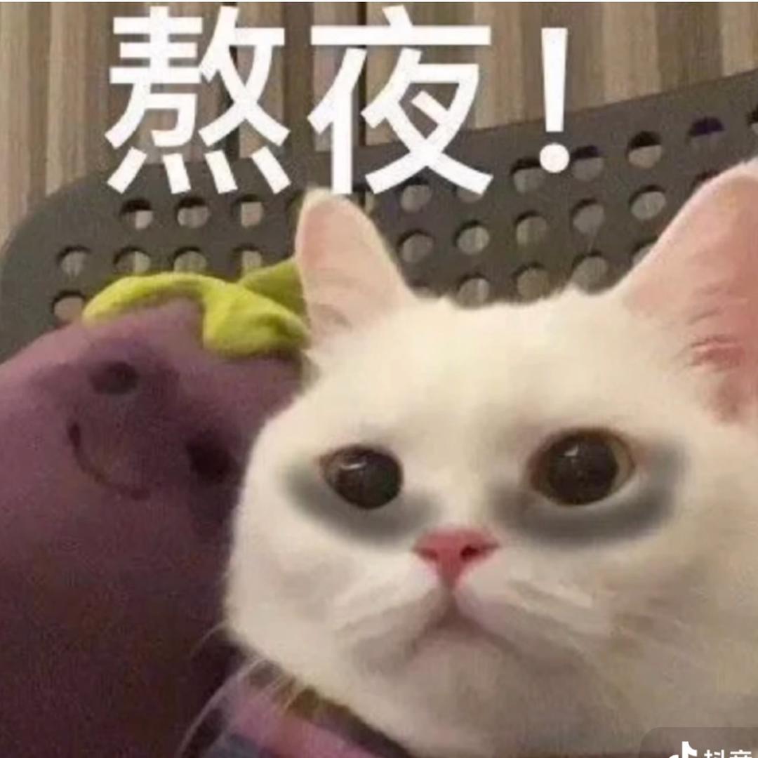 菠蘿吹雪.