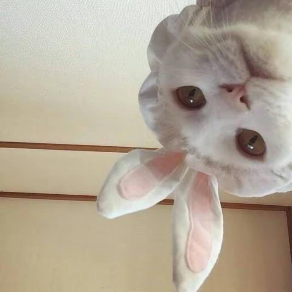 别让我买菜