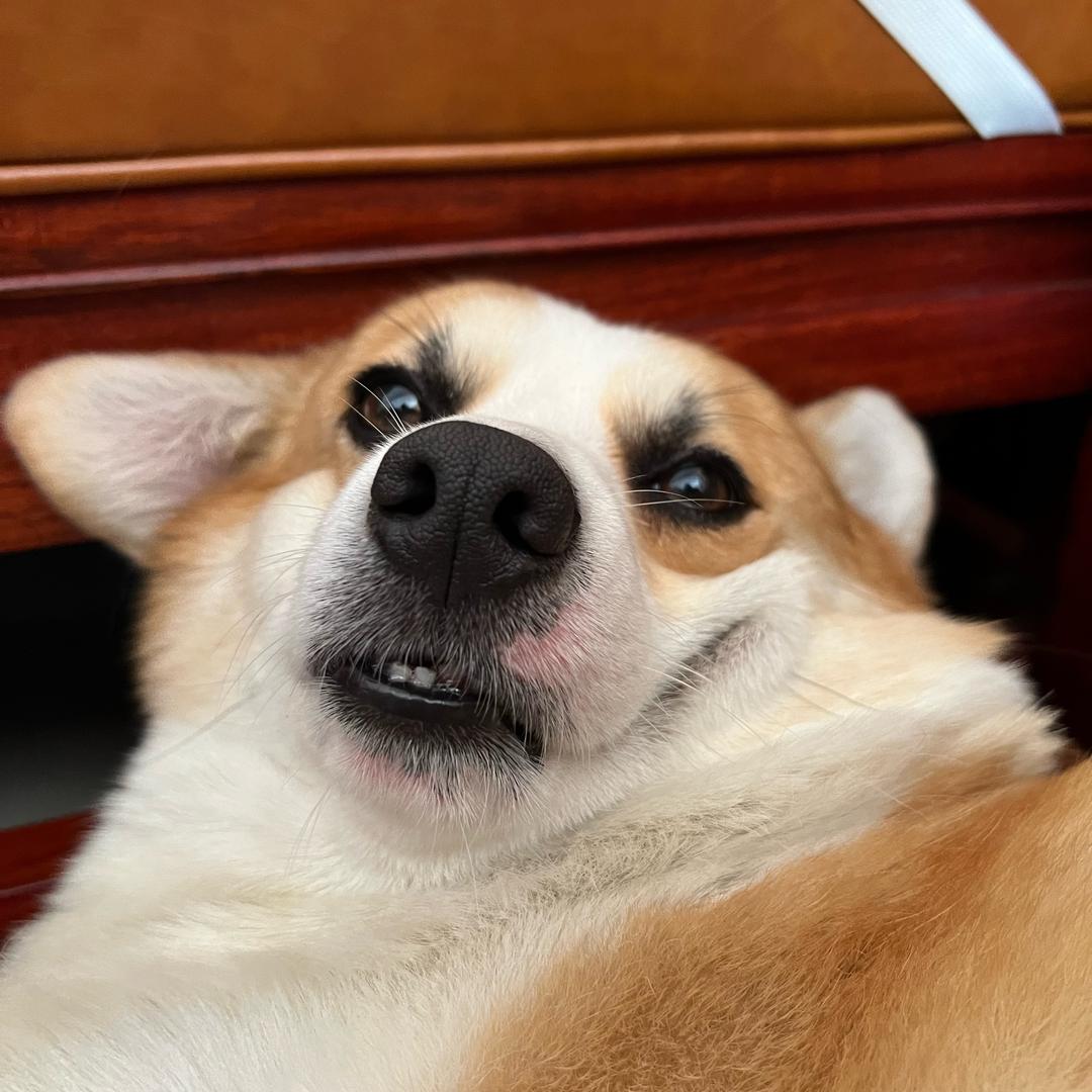 金水