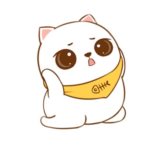 猫价格-帮你买到健康好猫