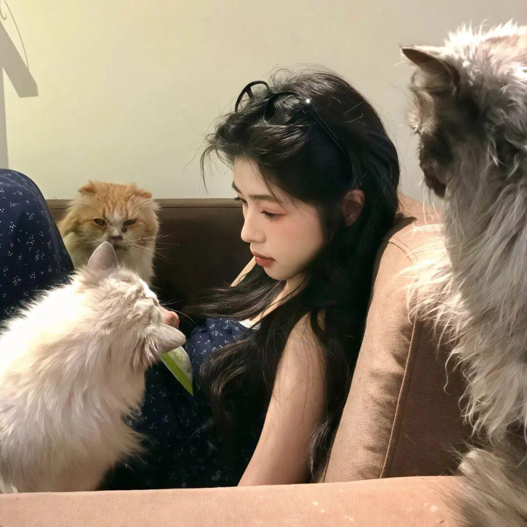 🫐好久不见