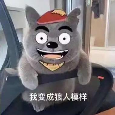 小天小天