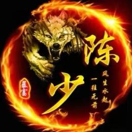 辉仔-