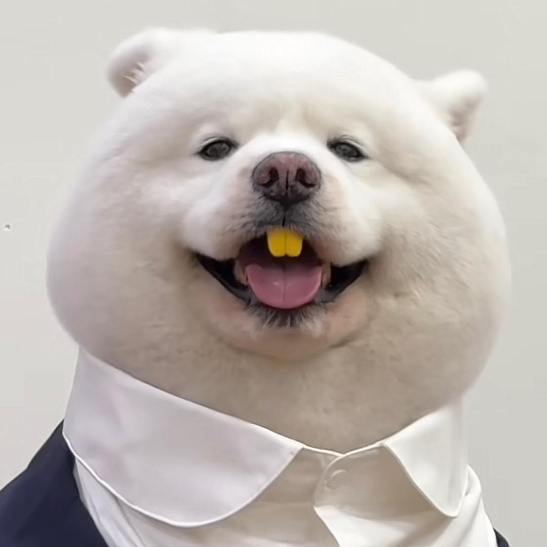 没有胡萝卜的兔子