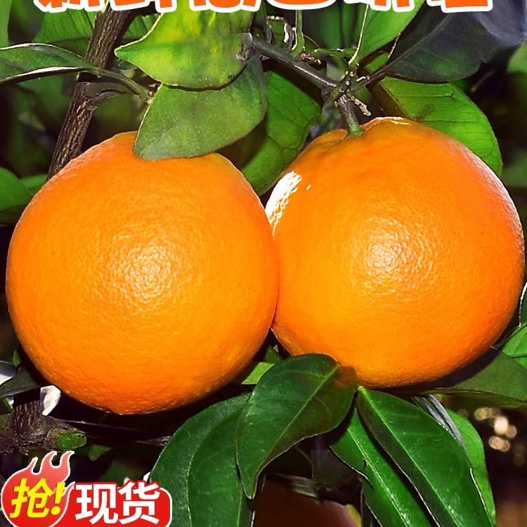 兜友生态农场