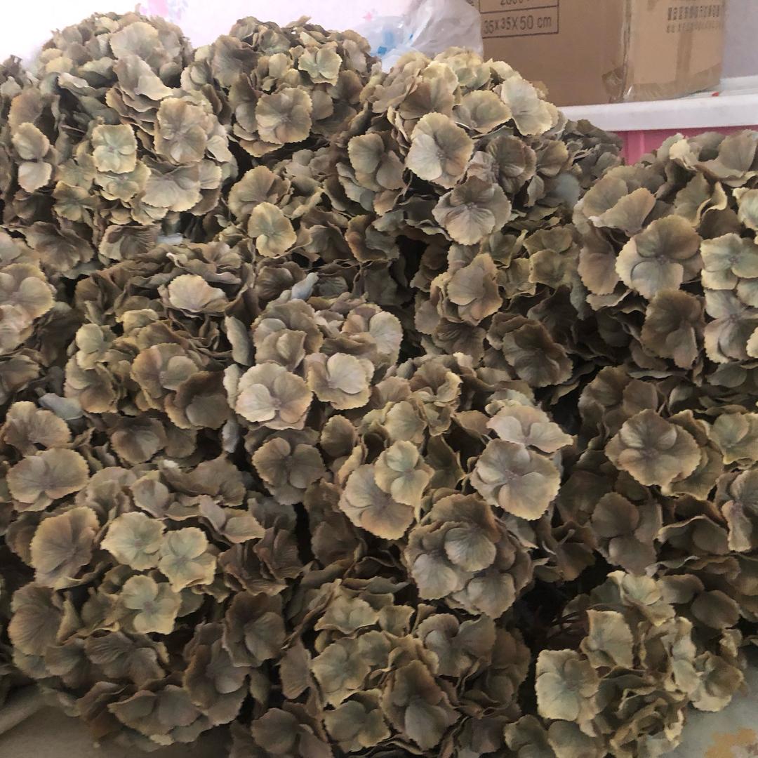 往前看？？？？？？？？