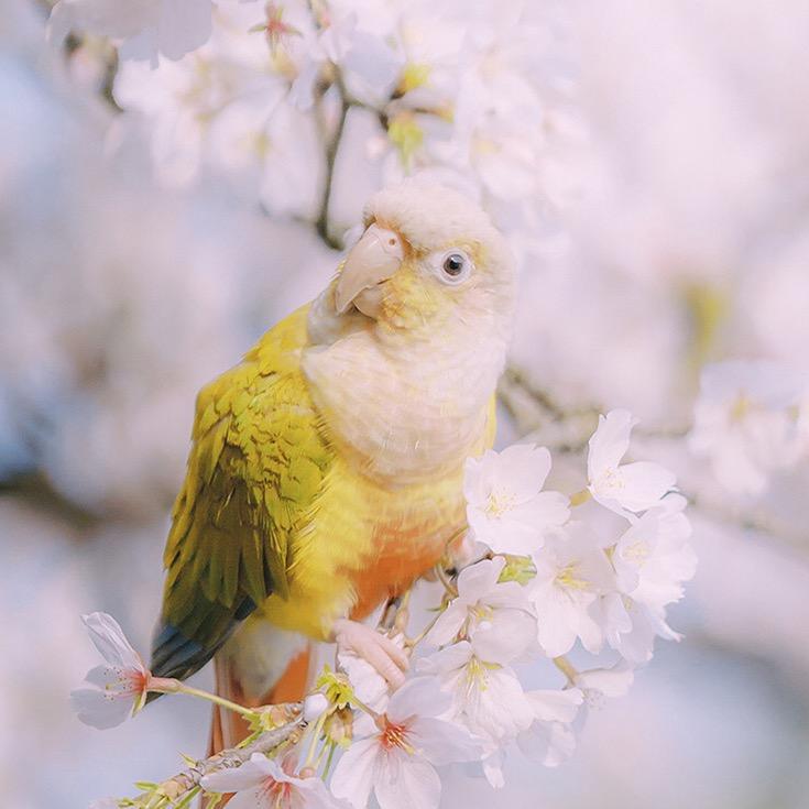 一步一个脚印远践