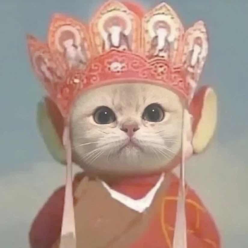 可乐🥤