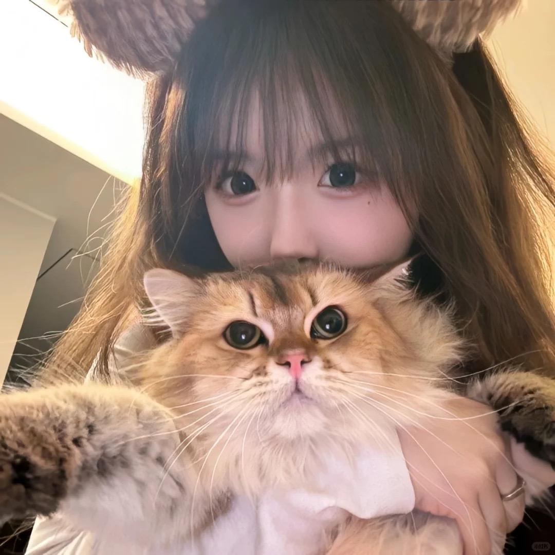 林语惊
