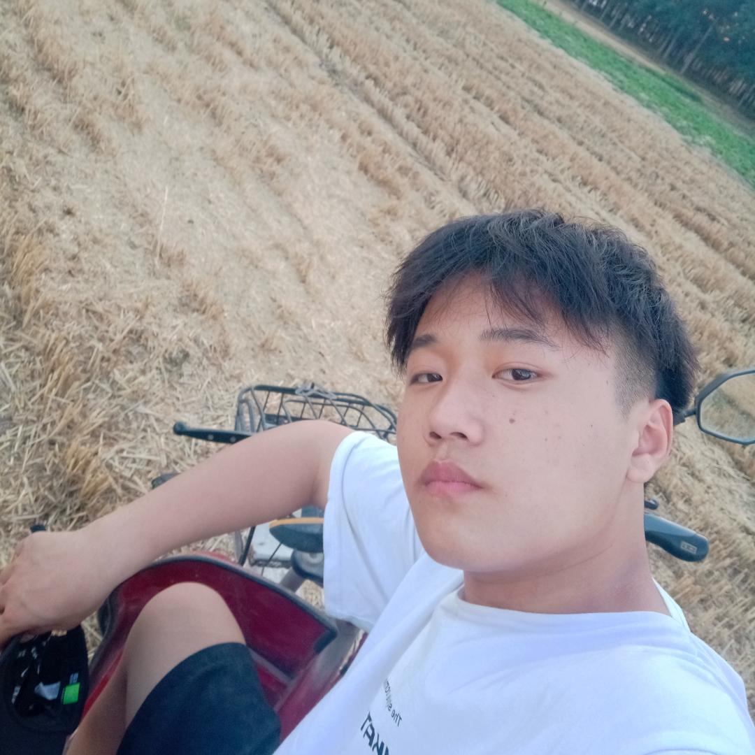 小金的日常