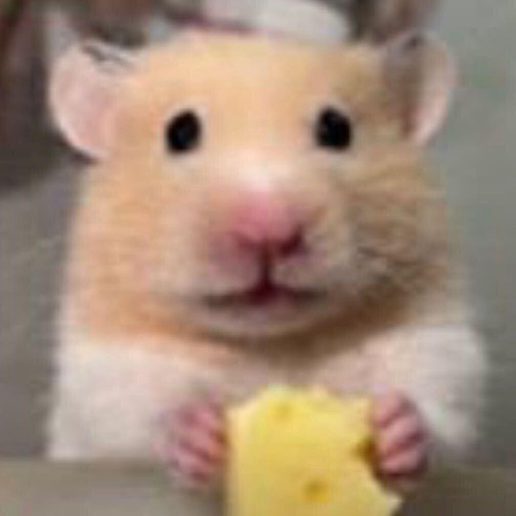 鱼籽包　　　　　　　   ╲