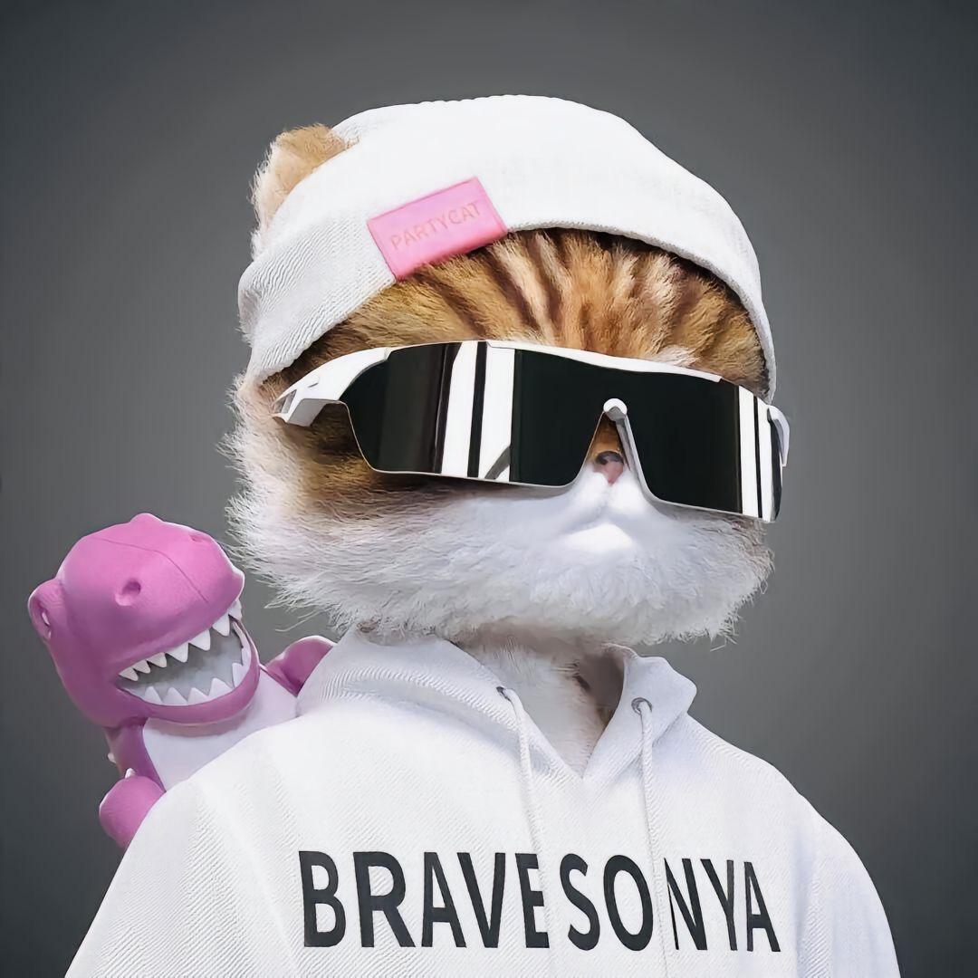 猫超人