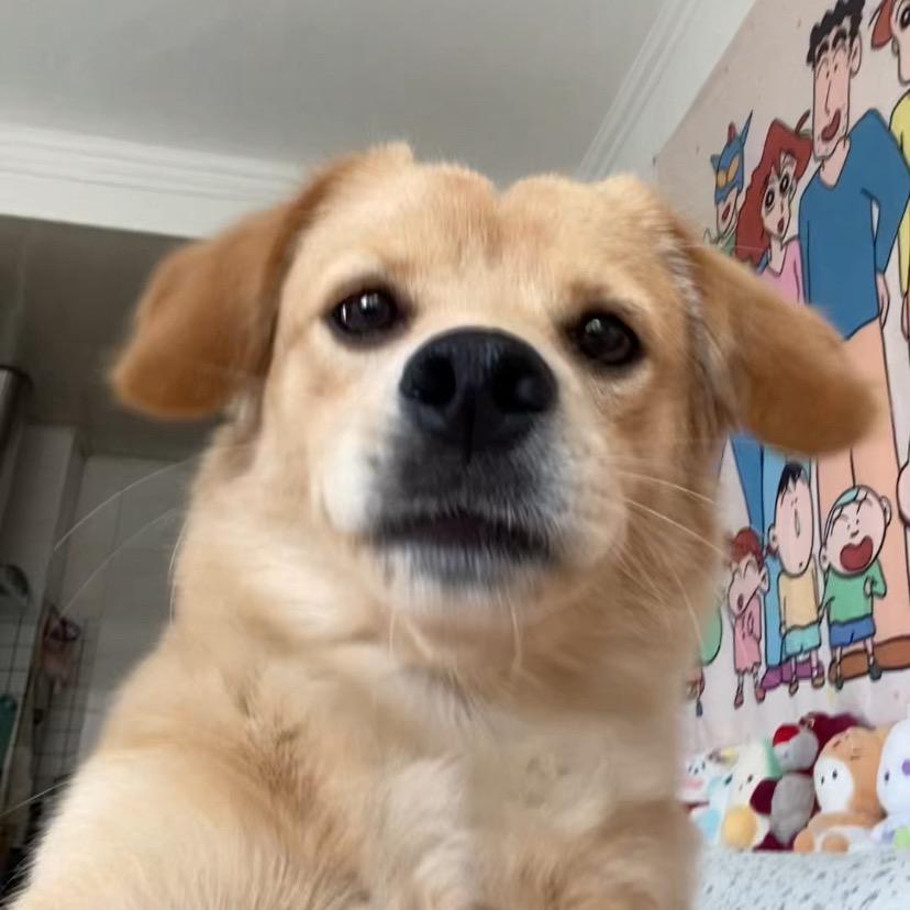 南波万🫧•͈ᴗ⁃͈