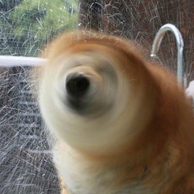 安。
