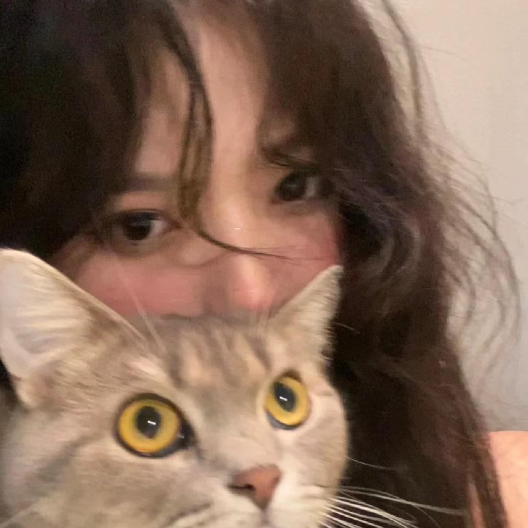 小狐狸.