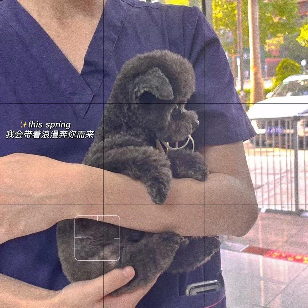萌宠阁宠物医院-刘院长
