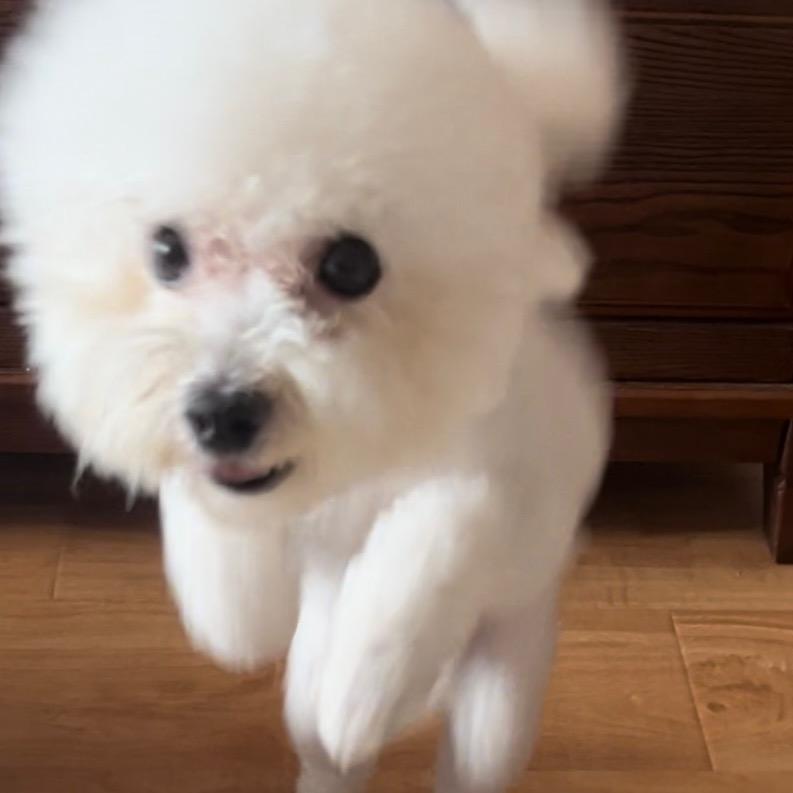 煎饼小果子