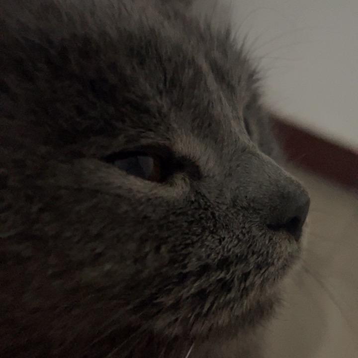 马小马