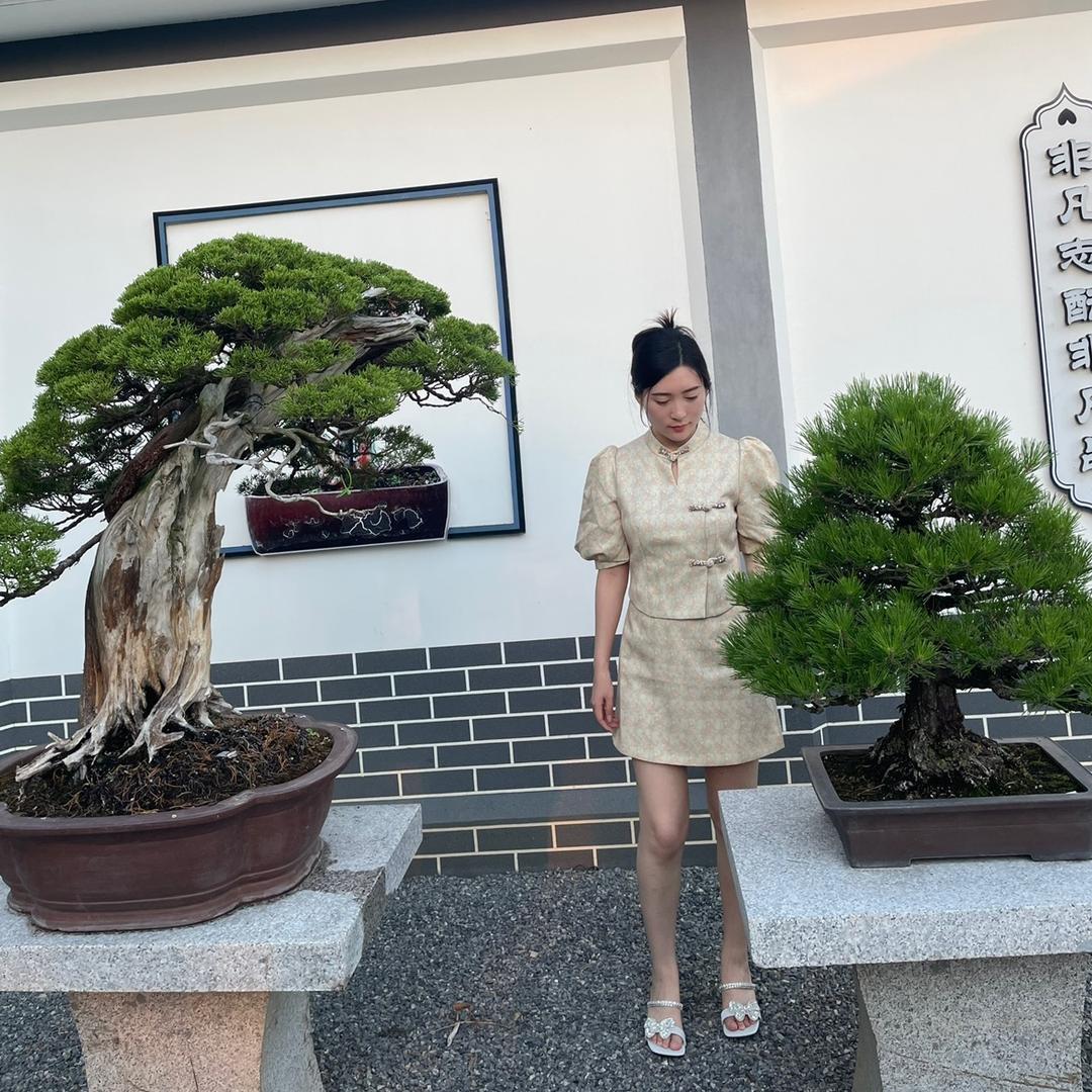 牧锡盆栽Bonsai