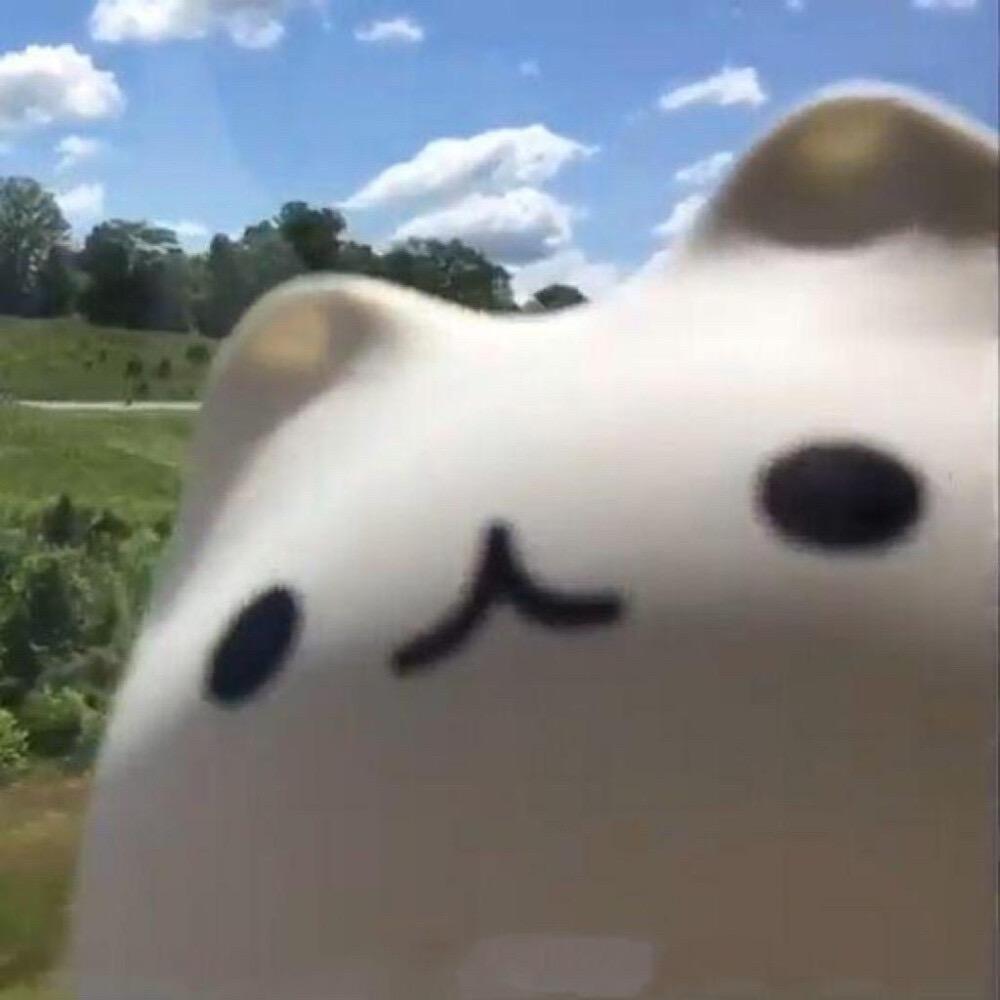 一条魚