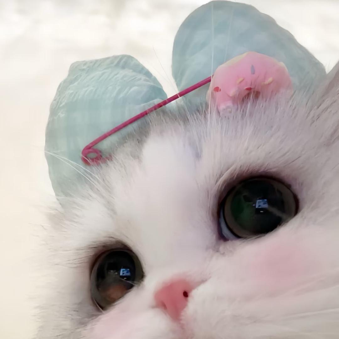 盆鱼艳