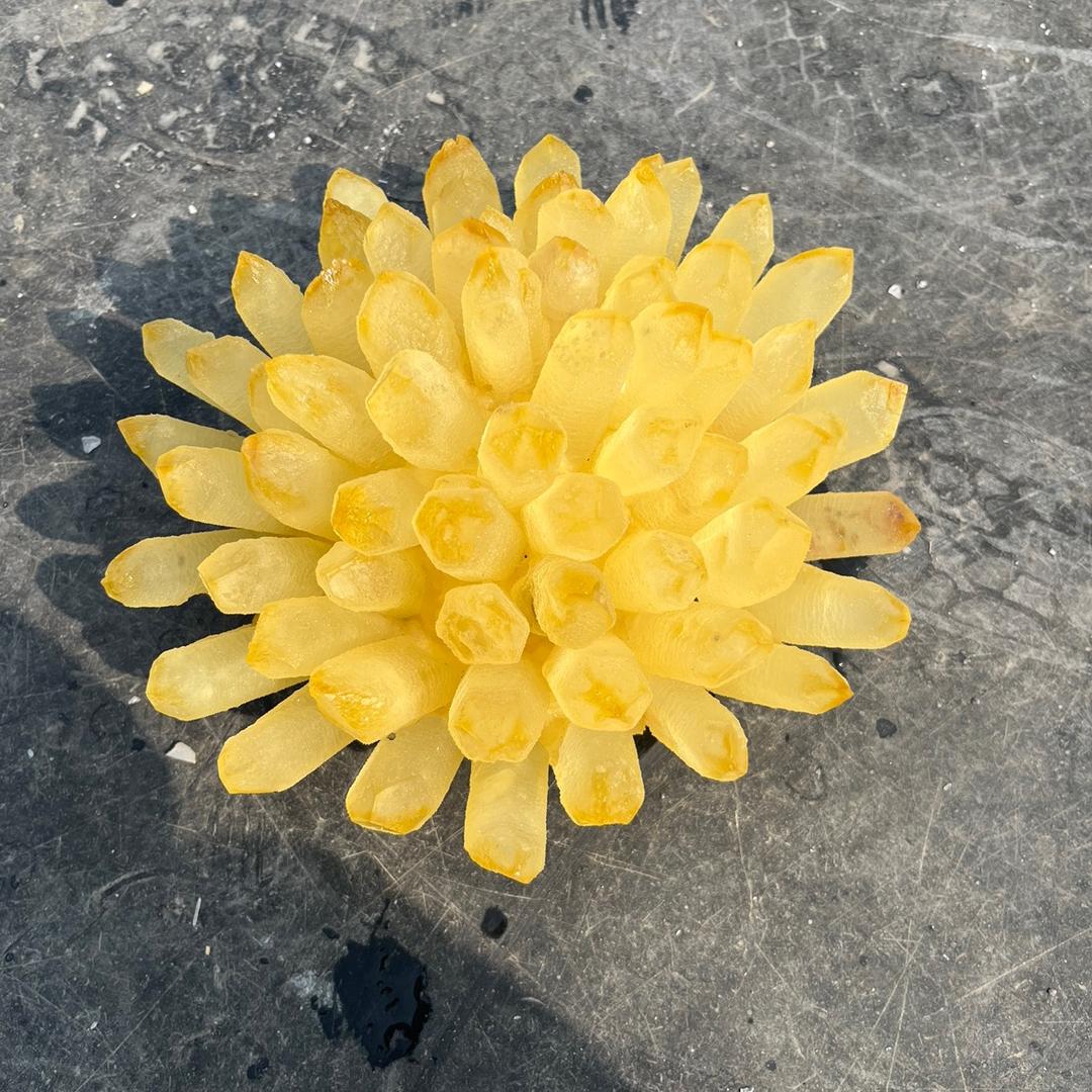 彩红晶