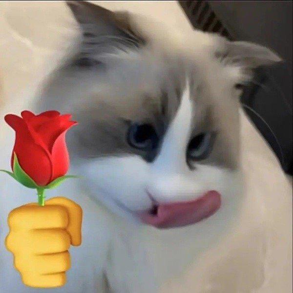 你别管我