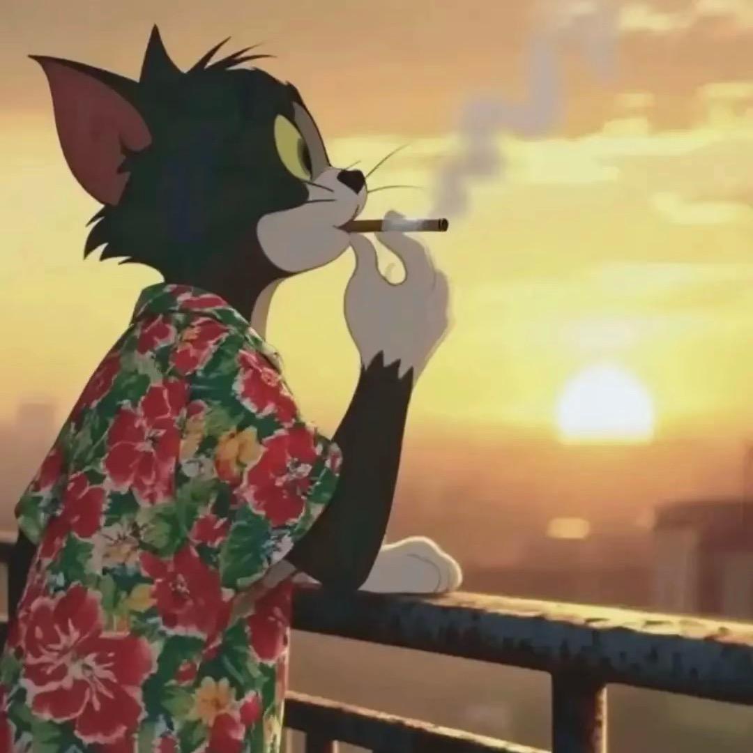 音乐人🎶