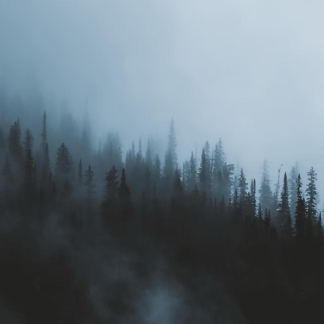 ￴￴ ￴￴￴ ￴￴ ￴ ￴ ￴￴ ￴￴