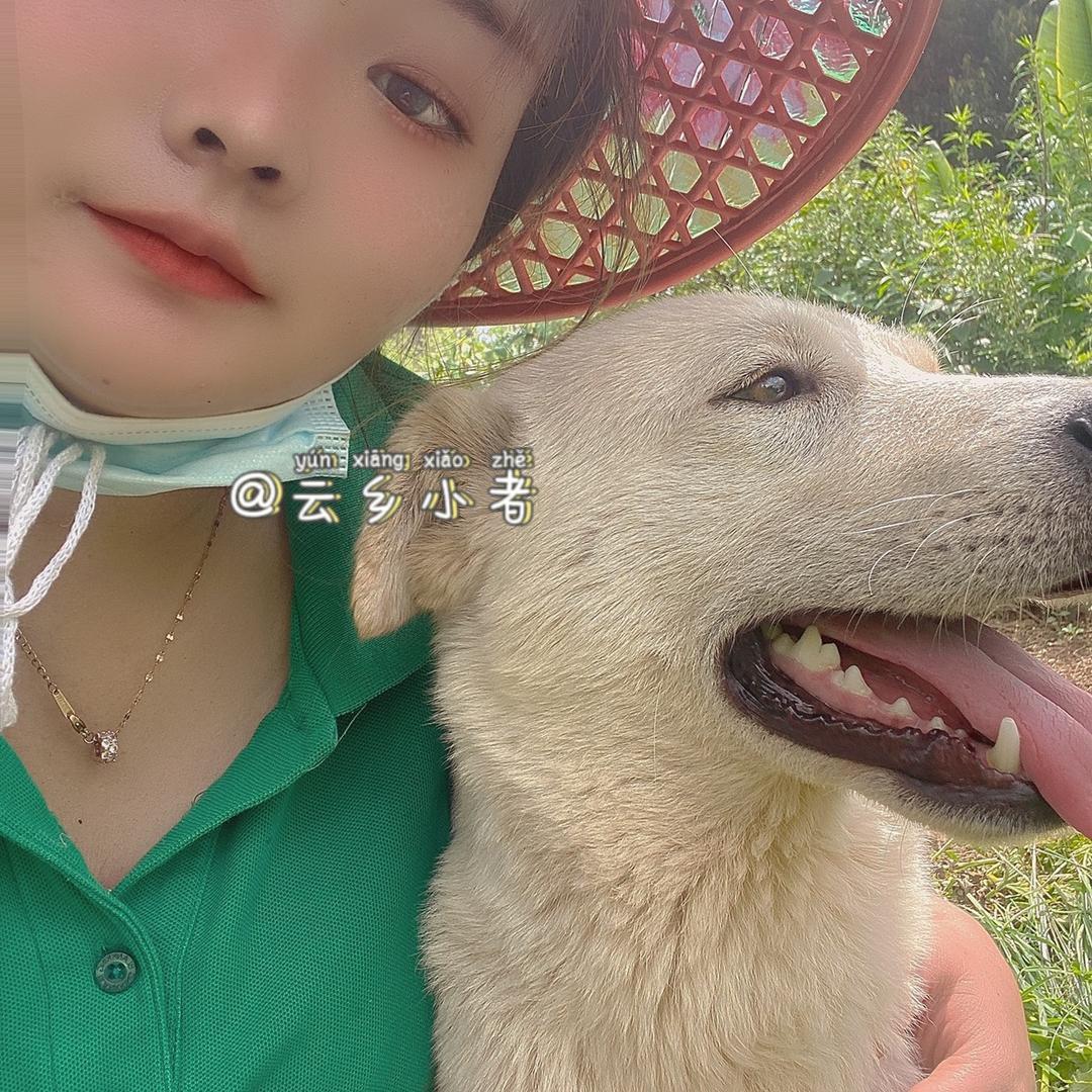 云乡小者