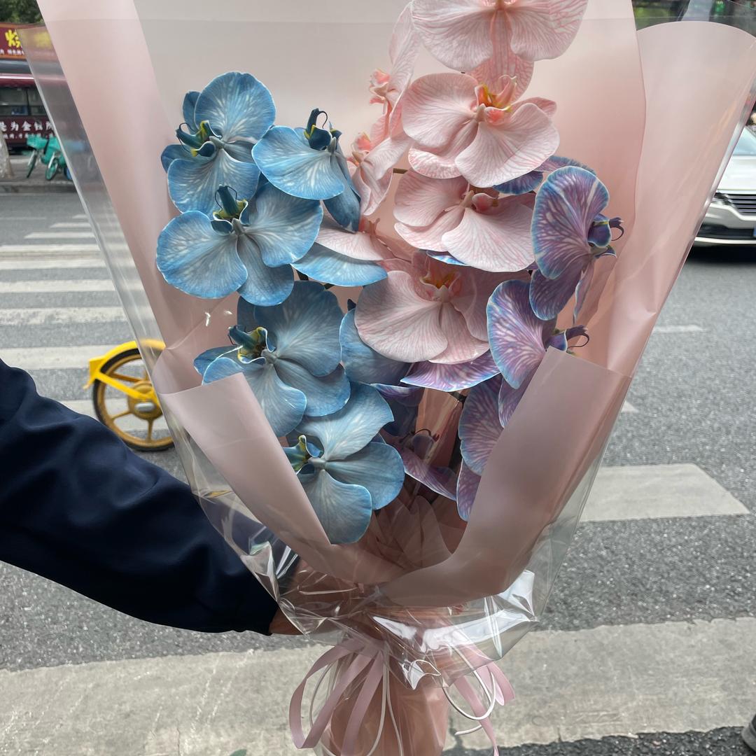 兰知否🌺斗南蝴蝶兰掌发货