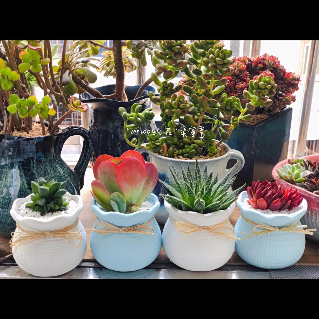 陶气陶瓷花盆小店