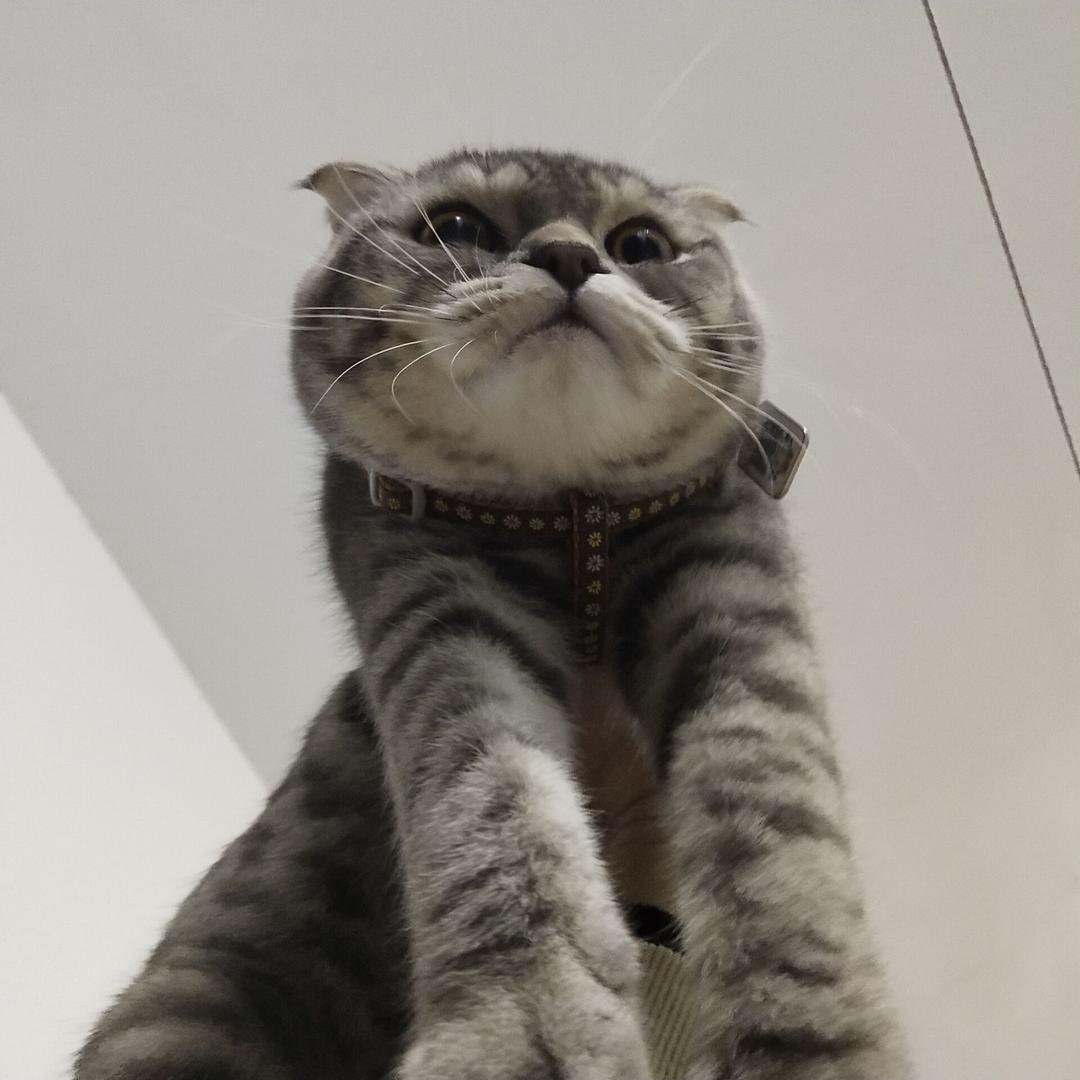 没有烦恼的弟弟