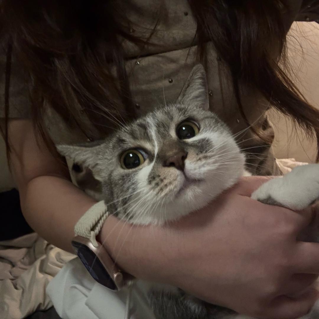 重生之我在美容店当美容师