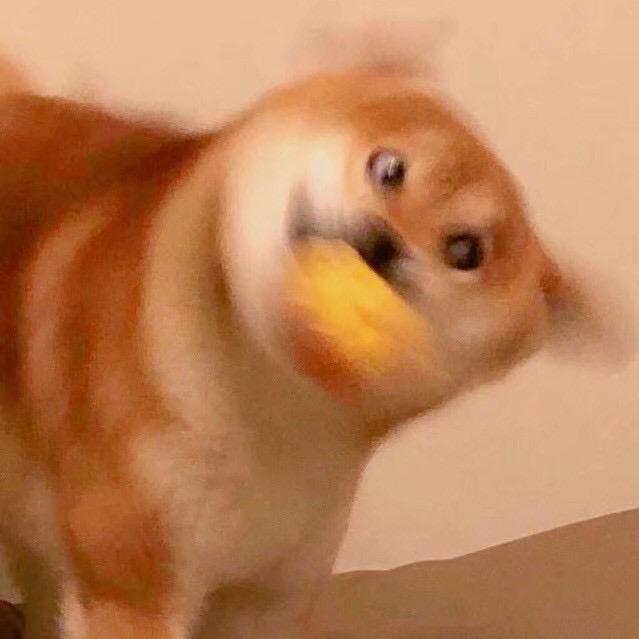 ғʀᴇᴇ
