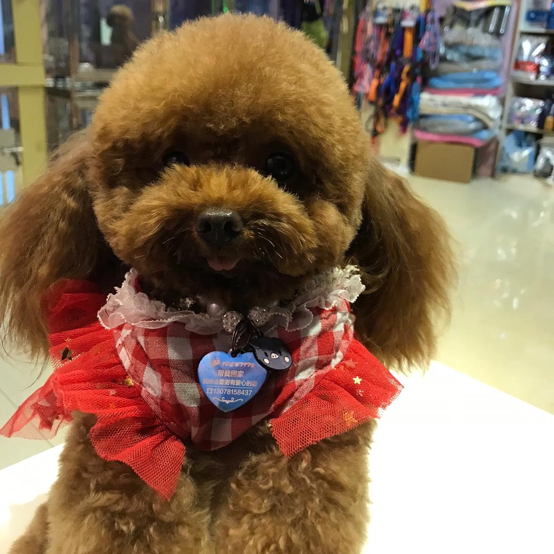 联投超市郭建辉集克124直播号