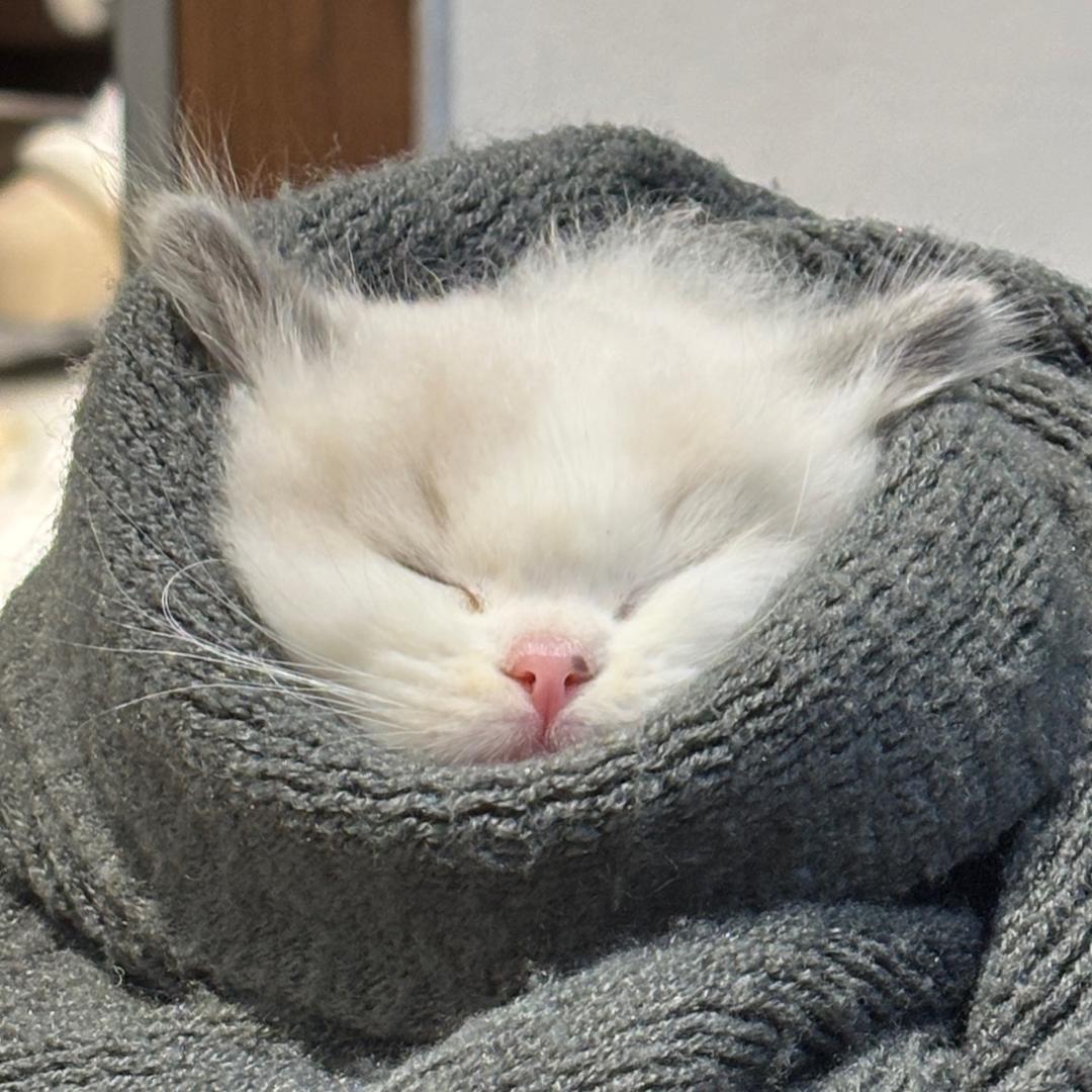 打烊～