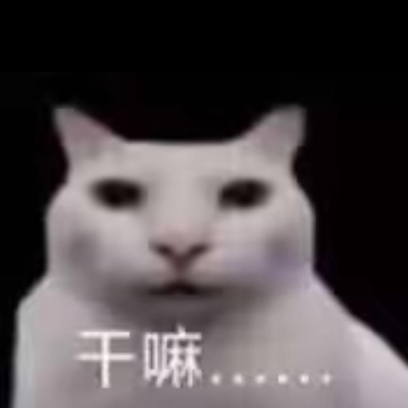 消失的狐狸君^
