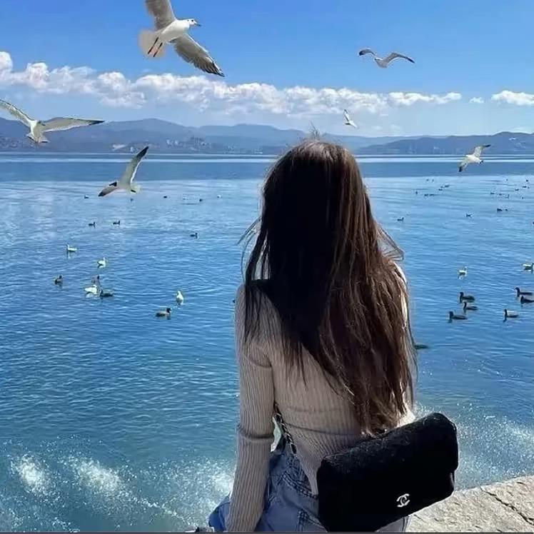 归