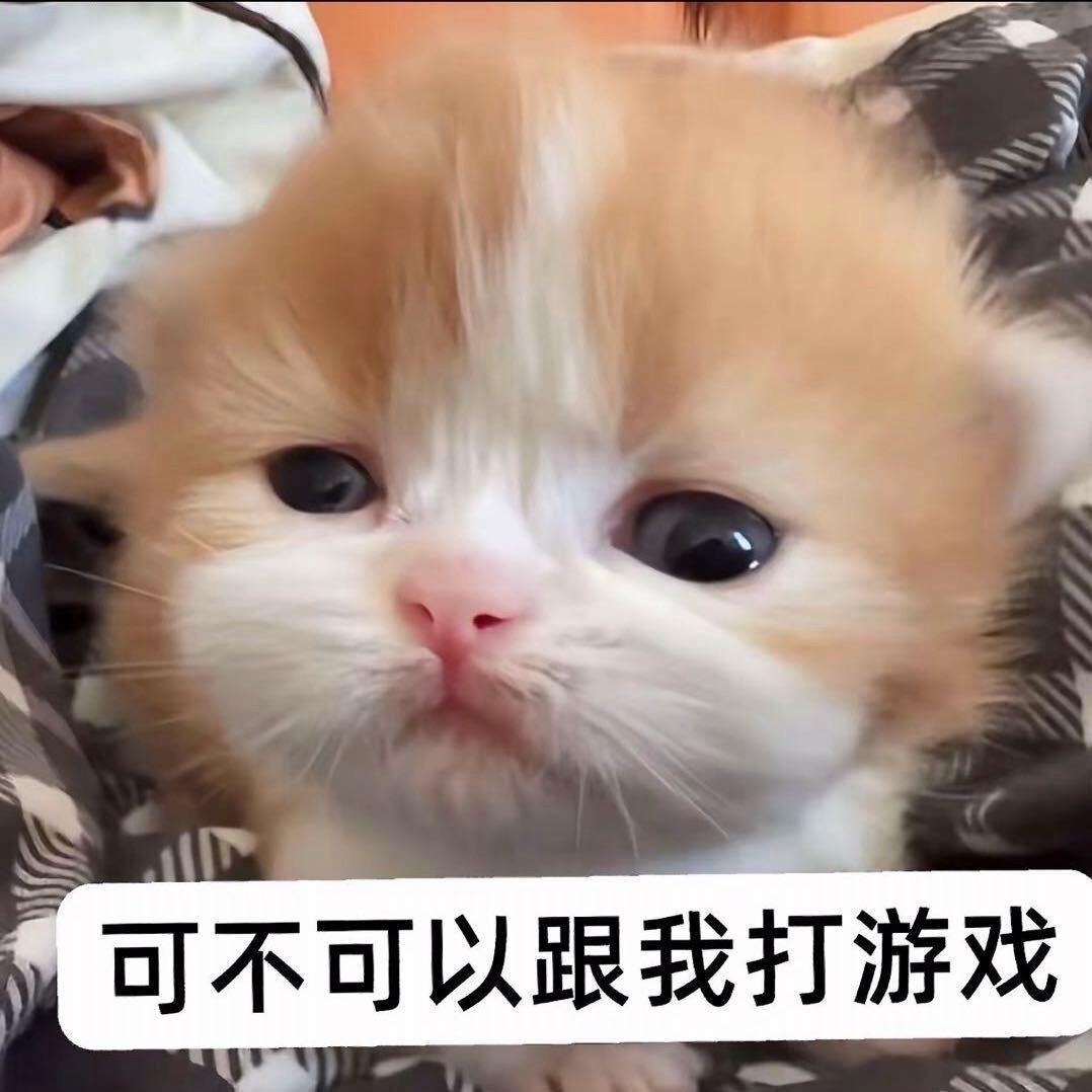 小蓝（杭城小师赛）