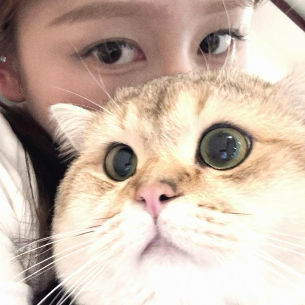 心