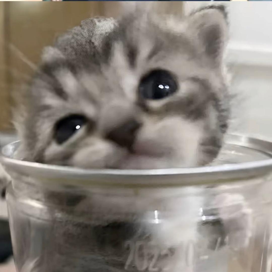 涛qq