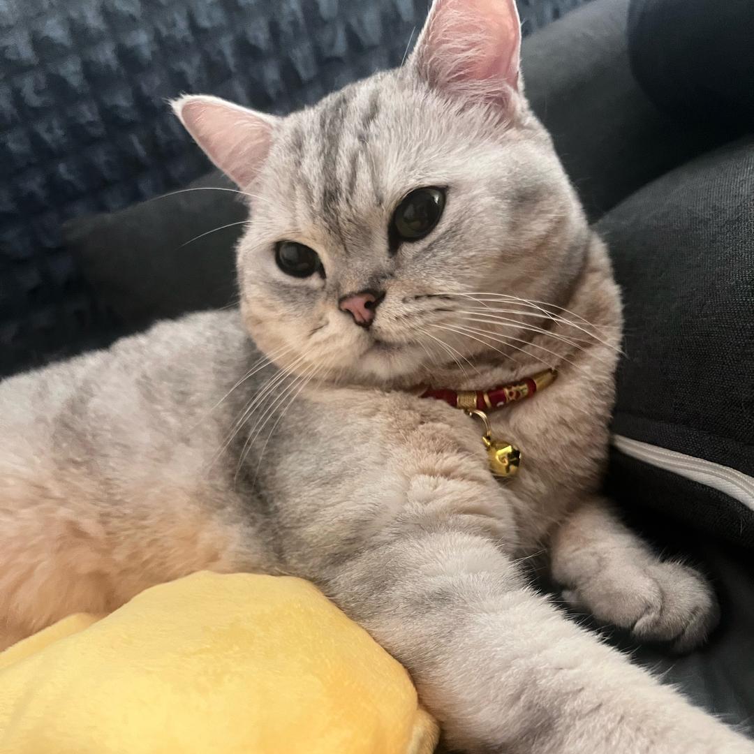 巴掌给你吃两个