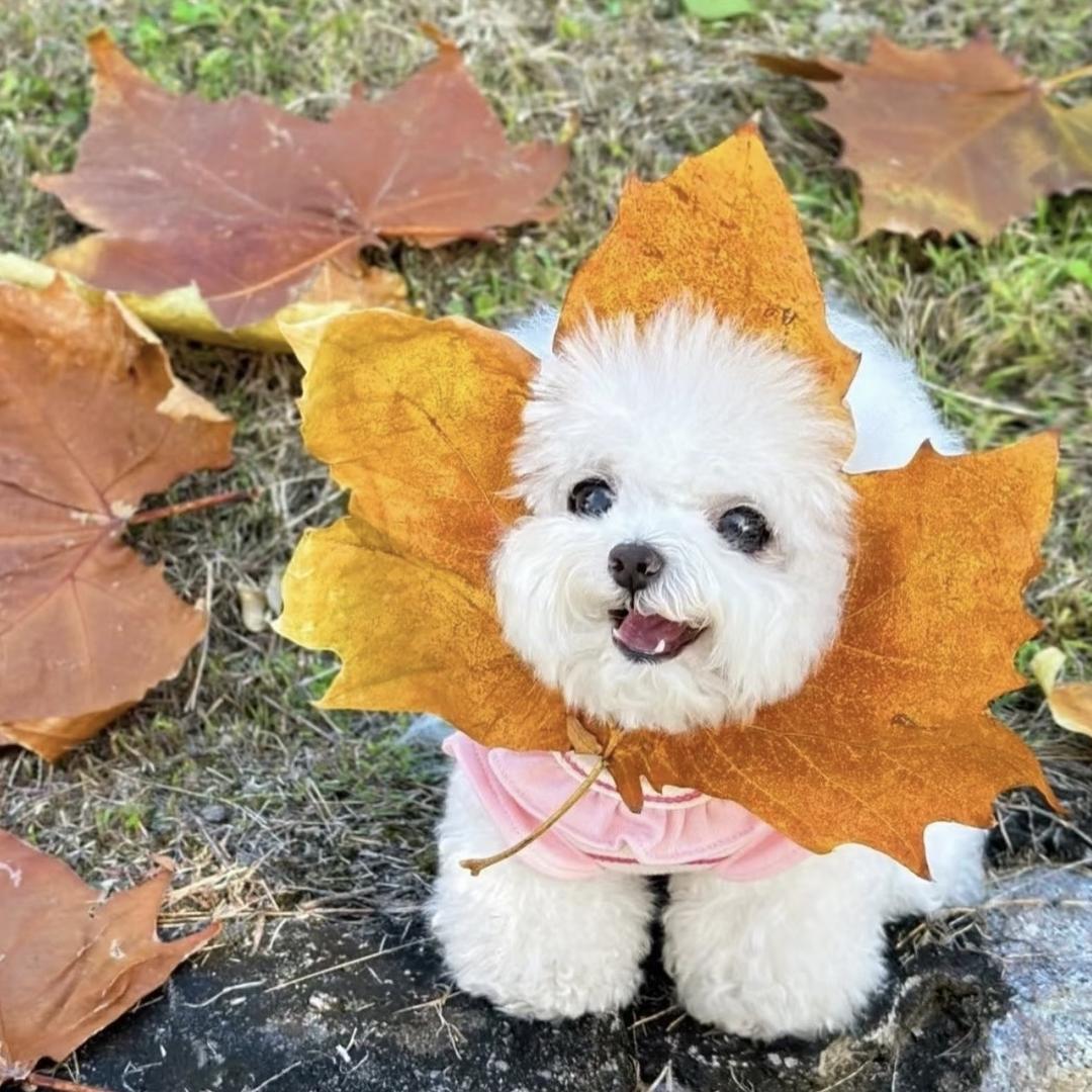 **█▄▀▓* ☺ ☻ ☼ ♪ ♫