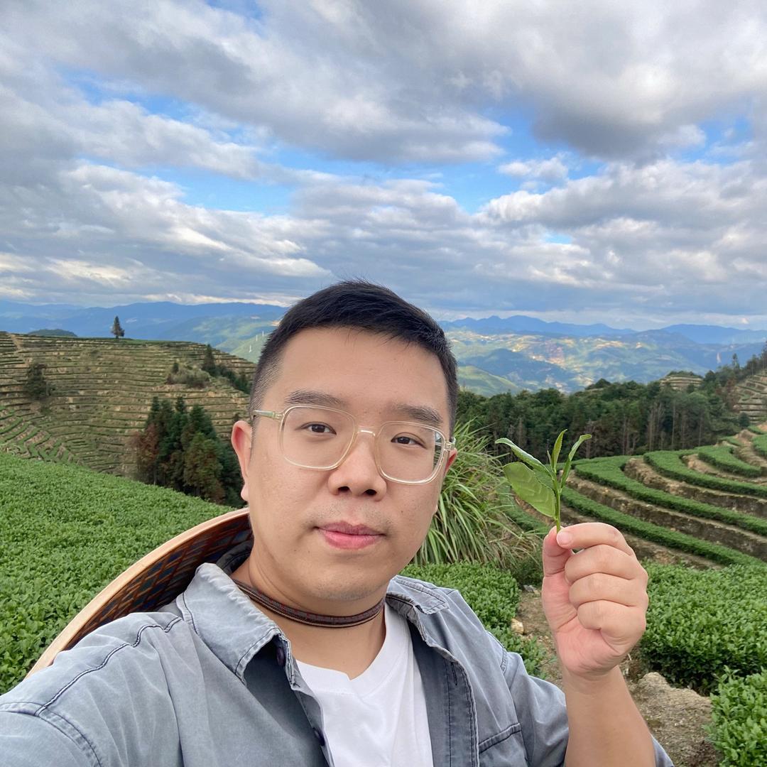 茶叶鉴定狮