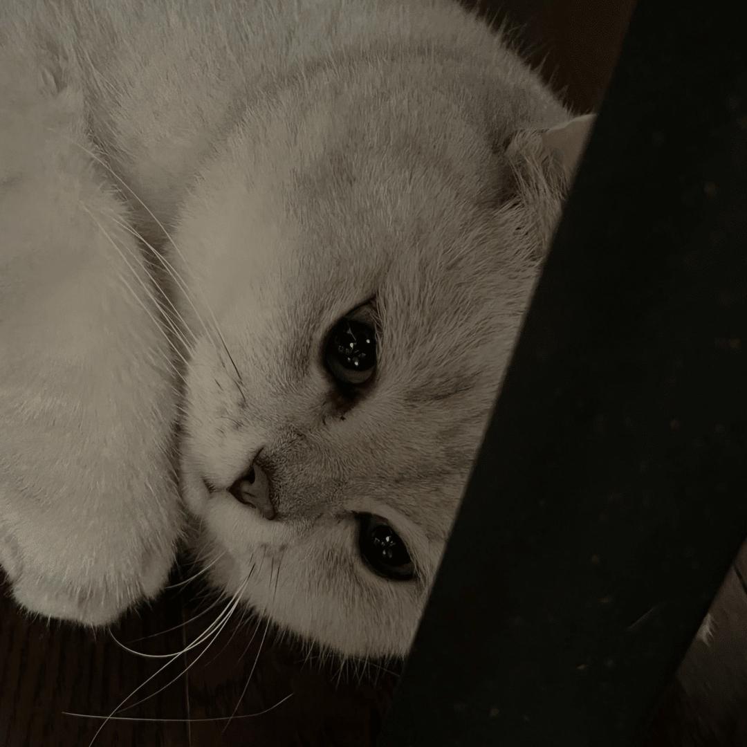-25